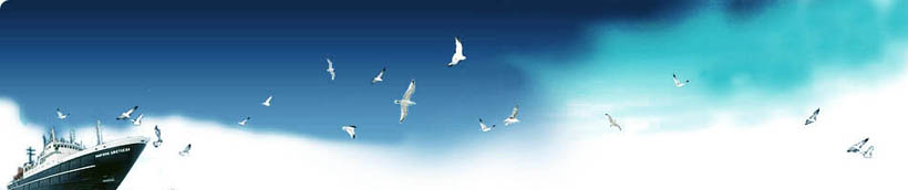 banner_13